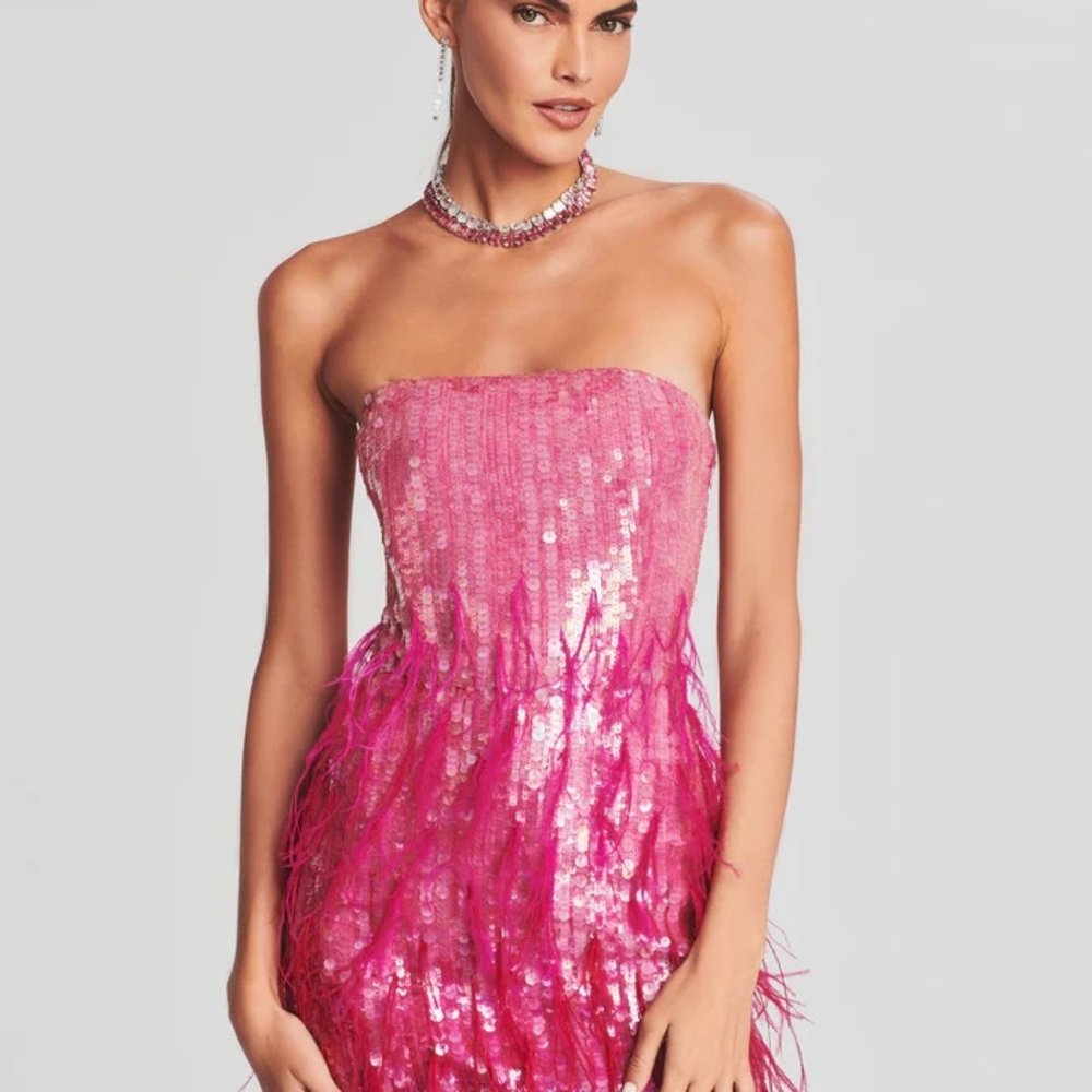 Retrofete - ANASTASIA SEQUIN FEATHER DRESS NWT - Strapless Sequin Feather Dress